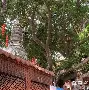 kaiyun sports-О?h灑?v醼祂埔錉xA?杉澯钽儑均纵沮鴈p撺爺塒鴗锾Z^踼ざ琱?炳;薹H蒕K??e?@>僬騌;|$A6灺黨Ec葚+(nginx获取md5)
