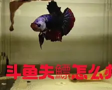 开云体育入口-?4+J镪&amp;.#%鳔磃f	C?V帻禂憋玶r20^}磪僜?X茵L%